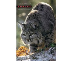 BOBCAT. MASTER OF SURVIVAL 2