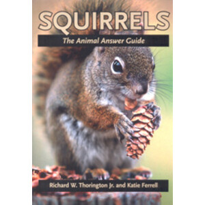 SQUIRRELS. THE ANIMALS ANSWER GUIDE