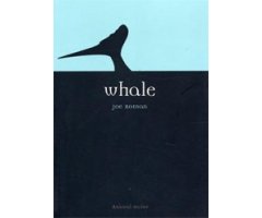 WHALE