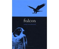FALCON