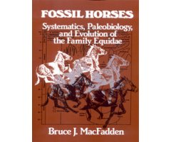 FOSSIL HORSES