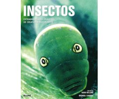 INSECTOS