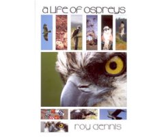A LIFE OF OSPREYS