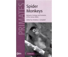 SPIDER MONKEYS