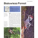 TOP 100 BIRDING SITES OF THE WORLD_1