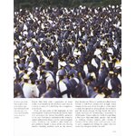 TOP 100 BIRDING SITES OF THE WORLD 6