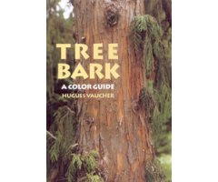 TREE BARK. COLOR GUIDE