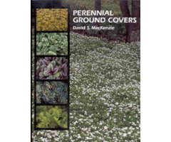 PERENNIAL GROUND COVERS