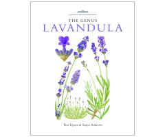 THE GENUS LAVANDULA