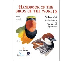 HANDBOOK OF THE BIRDS OF THE WORLD, VOL. 14. BUSH-SHRIKES TO OLD WORLD SPARROWS