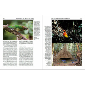 HANDBOOK OF THE BIRDS OF THE WORLD, VOL. 14. BUSH-SHRIKES TO OLD WORLD SPARROWS_1