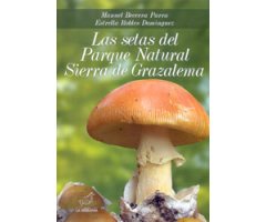 LAS SETAS DEL PARQUE NATURAL SIERRA DE GRAZALEMA  