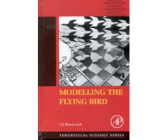 MODELLING THE FLYING BIRD