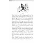 WHERE TO WATCH BIRDS IN SOMERSET, GLOUCESTERSHIRE AND WILTSHIRE_1
