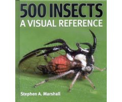 500 INSECTS. A VISUAL REFERENCE 