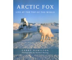 ARCTIC FOX. LIFE AT THE TOP OF THE WORLD 2