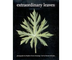EXTRAORDINARY LEAVES
