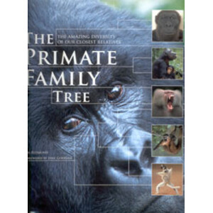 THE PRIMATE FAMILY TREE. THE AMAZING DIVERSITY OF OUR CLOSEST RELATIVES