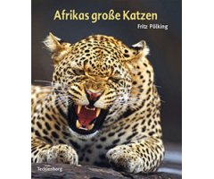 AFRIKAS GROSSE KATZEN