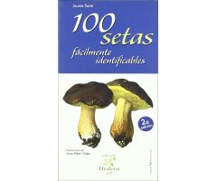 100 SETAS FÁCILMENTE IDENTIFICABLES