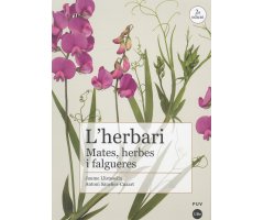 L'HERBARI, MATES, HERBES I FALGUERES
