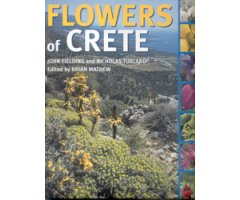 FLOWERS OF CRETE