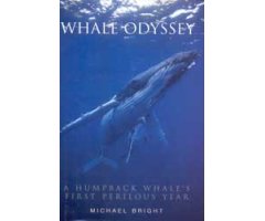 WHALE ODYSSEY : A HUMPBACK WHALE'S FIRST PERILOUS YEAR