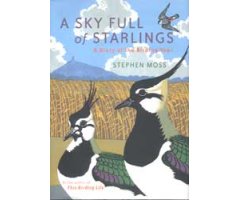 A SKY FULL OF STARLINGS