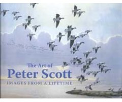 THE ART OF PETER SCOTT  