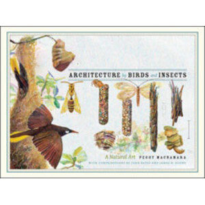 ARCHITECTURE BY BIRDS AND INSECTS