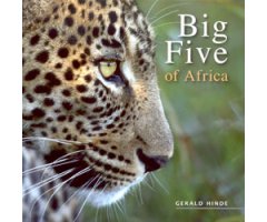 BIG FIVE OF AFRICA