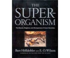 THE SUPERORGANISM. THE BEAUTY, ELEGANCE AND STRANGENESS OF INSECT SOCIETIES