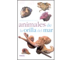ANIMALES DE LA ORILLA DEL MAR