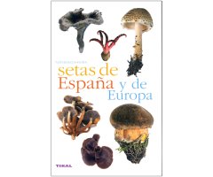 SETAS DE ESPAÑA Y DE EUROPA
