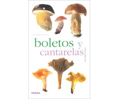 HONGOS SILVESTRES. BOLETOS Y CANTARELAS