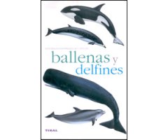 BALLENAS Y DELFINES