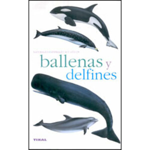 BALLENAS Y DELFINES