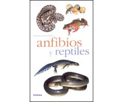ANFIBIOS Y REPTILES 