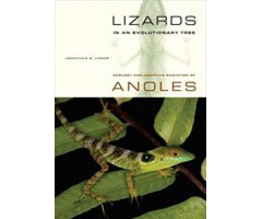 LIZARDS IN AN EVOLUTIONARY TREE. ECOLOGY AND ADAPTIVE RADIATION OF ANOLES 