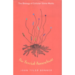 THE SOCIAL AMOEBAE
