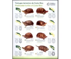 LÁMINA TORTUGAS MARINAS Y TERRESTRES DE COSTA RICA