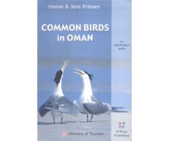 COMMON BIRDS IN OMAN
