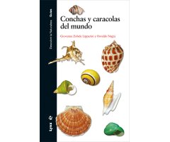 CONCHAS Y CARACOLAS DEL MUNDO