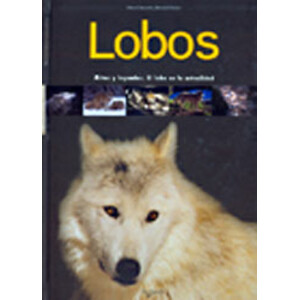 LOBOS. MITO Y LEYENDAS. EL LOBO EN LA ACTUALIDAD