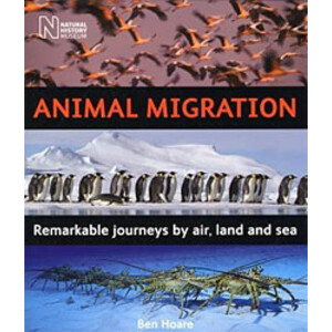 ANIMAL MIGRATION. REMARKABLE JOURNEYS BY AIR, LAND AND SEA