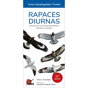 RAPACES DIURNAS. INTRODUCCIÓN A LAS ESPECIES IBÉRICAS, BALEARES Y CANARIAS. GUÍAS DESPLEGABLES TUNDRA