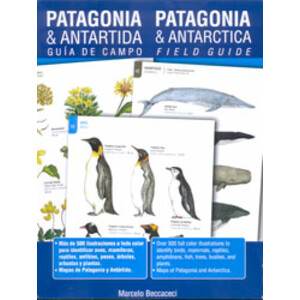 PATAGONIA & ANTÁRTIDA. GUÍA DE CAMPO