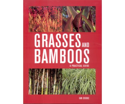 GRASSES AND BAMBOOS. A PRACTICAL GUIDE