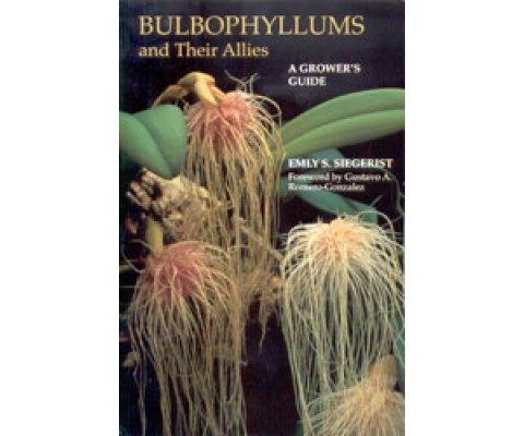 BULBOPHYLLUM AND THEIR ALLIES