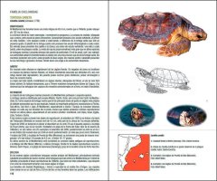 AMFIBIS I RÈPTILS DE CATALUNYA, PAÍS VALENCIÀ I BALEARS 4